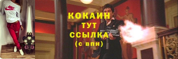 кокс Осташков