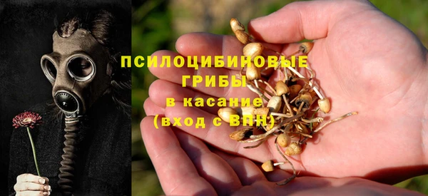 твердый Остров
