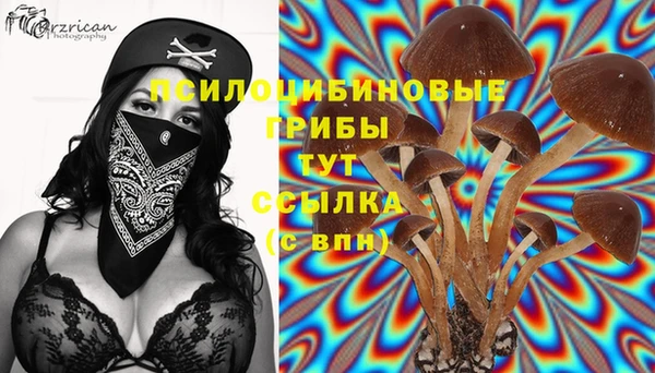 apvp Осинники