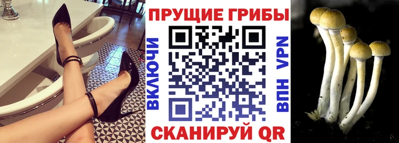 купить наркоту  Улан-Удэ  мега сайт  Галлюциногенные грибы мухоморы 