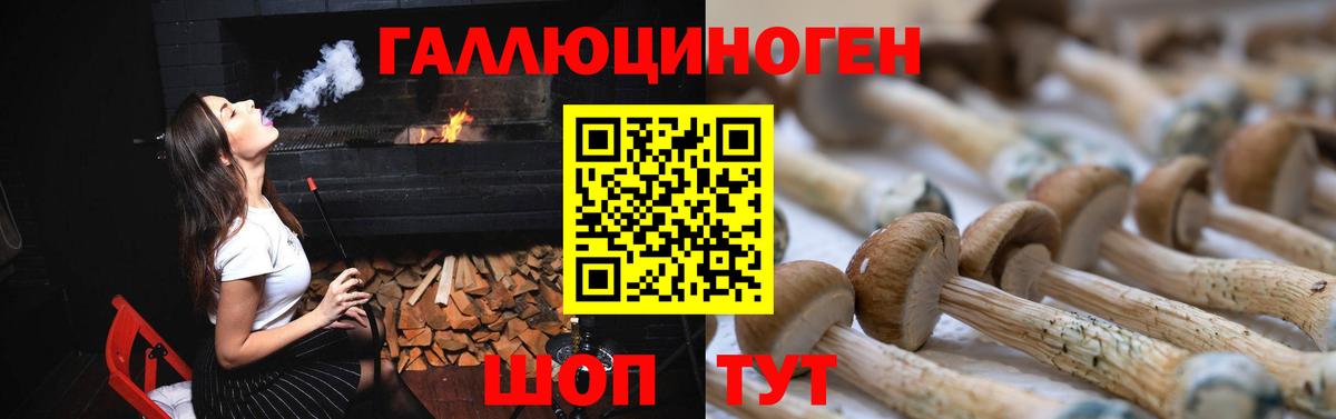 Галлюциногенные грибы прущие грибы  Галлюциногенные грибы Psilocybe  как найти   Вход с VPN  Улан-Удэ 
